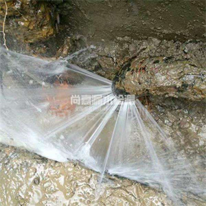兰山消防管道漏水检测